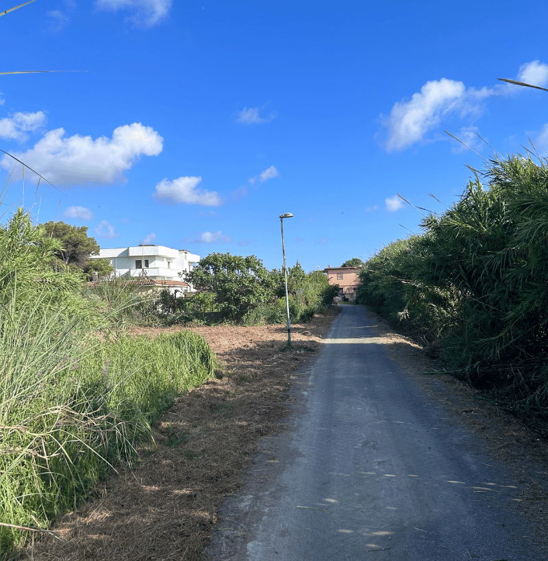 Lamoter Sito Lavori (6)