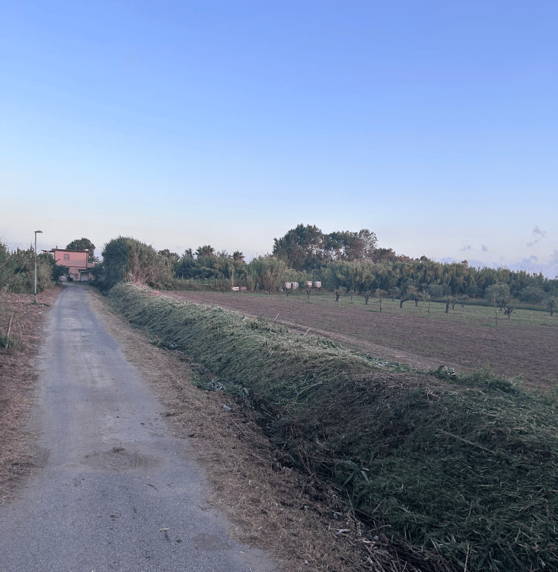 Lamoter Sito Lavori (7)