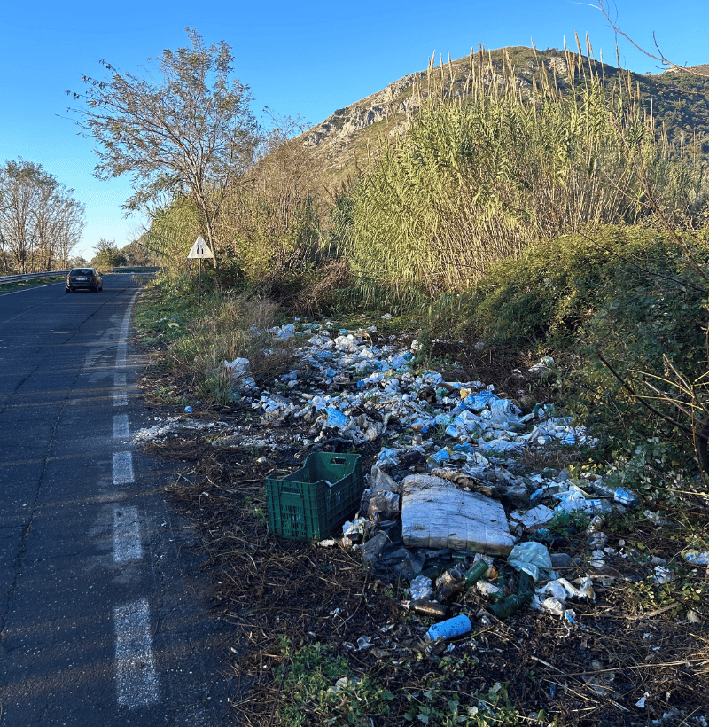 Progetto senza titolo (31)