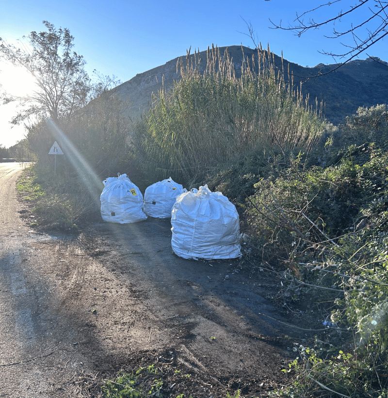 Progetto senza titolo (32)